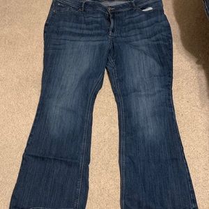 Maurice’s 22w jeans